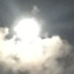 Profile picture of Sue Macbeth