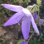 Group logo of Retreat and quiet day leaders